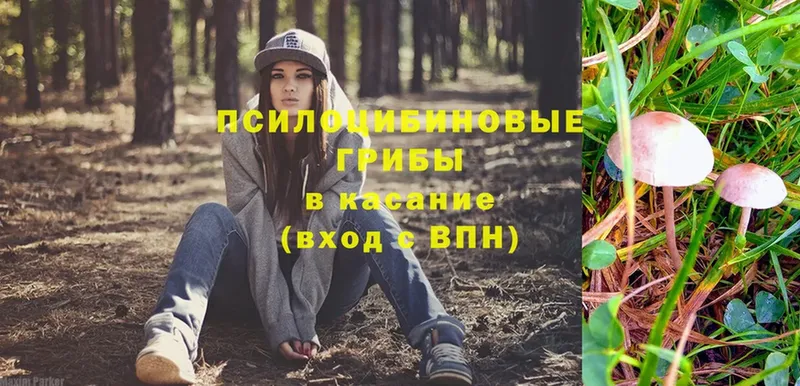 Галлюциногенные грибы ЛСД  Козельск 